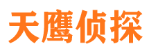 大新侦探公司